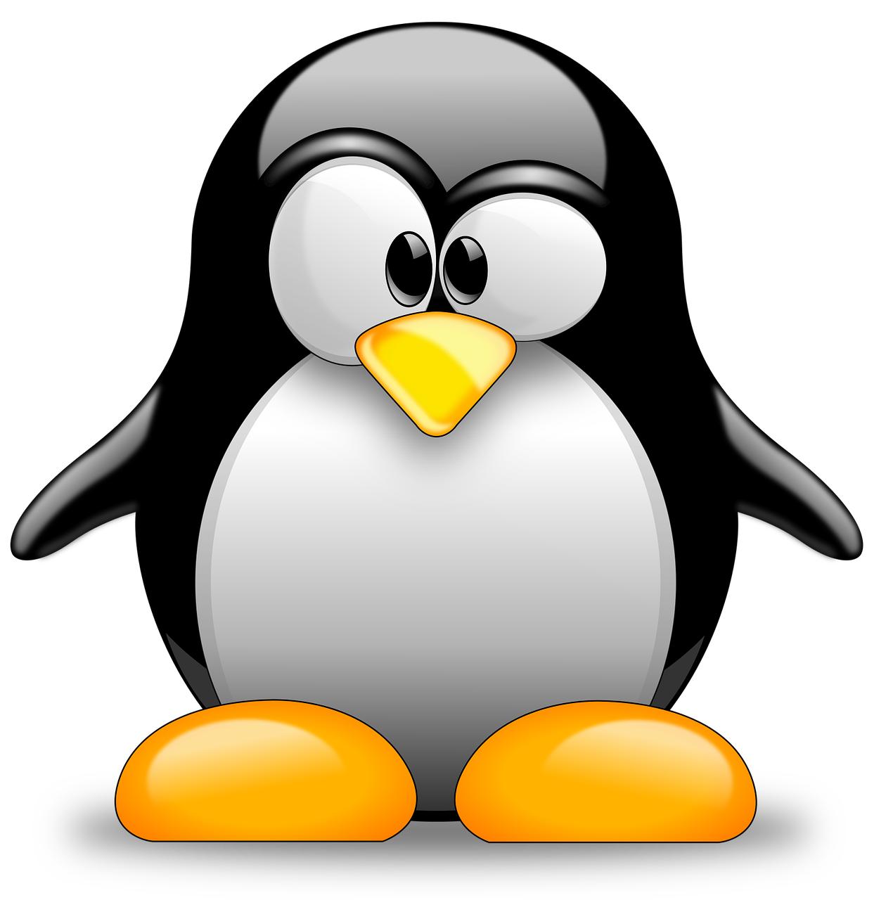 pingouin