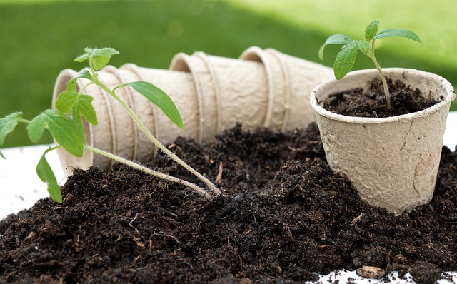 compost pas écolo